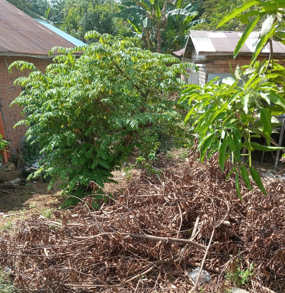1 Bidang Tanah di Kec.Kuaro