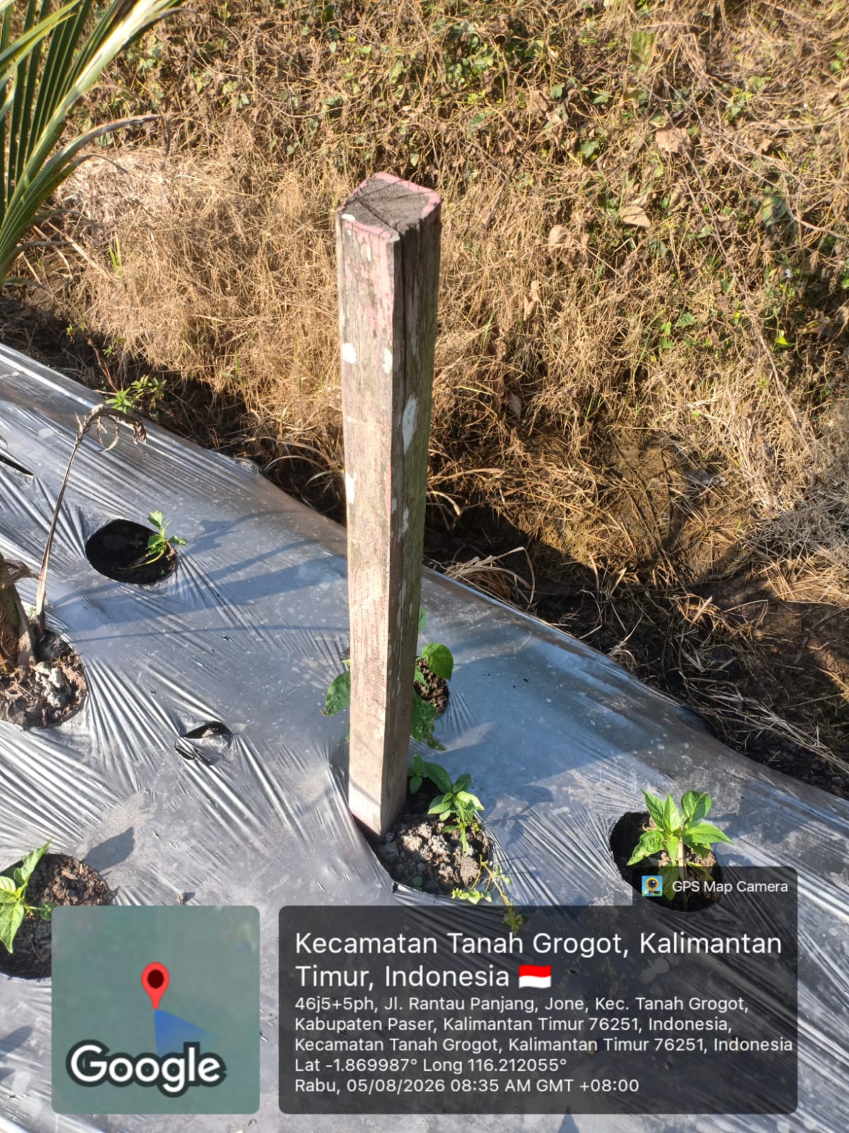 1 Bidang Tanah Di Desa Jone
