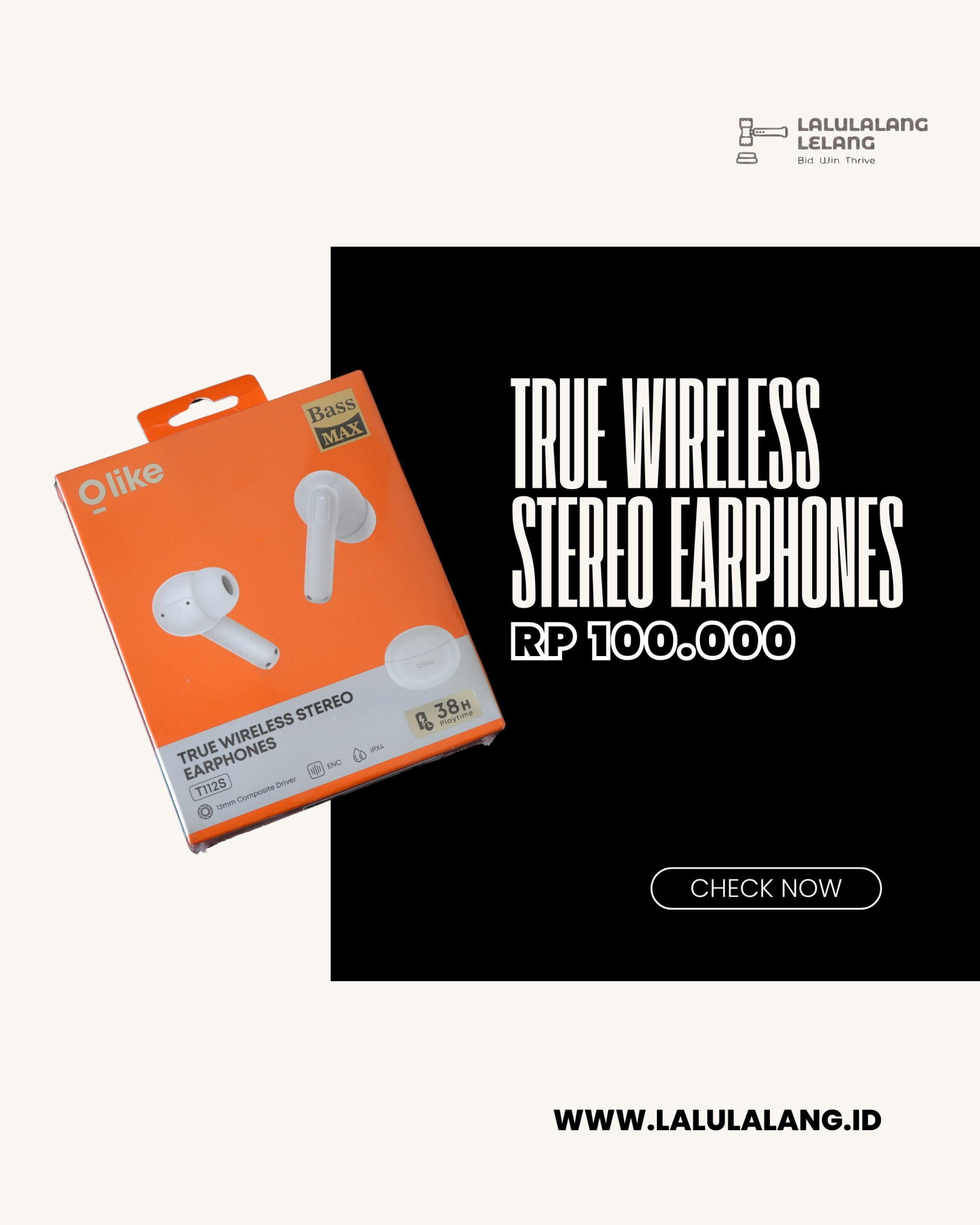 True Wireless Stereo Earphones